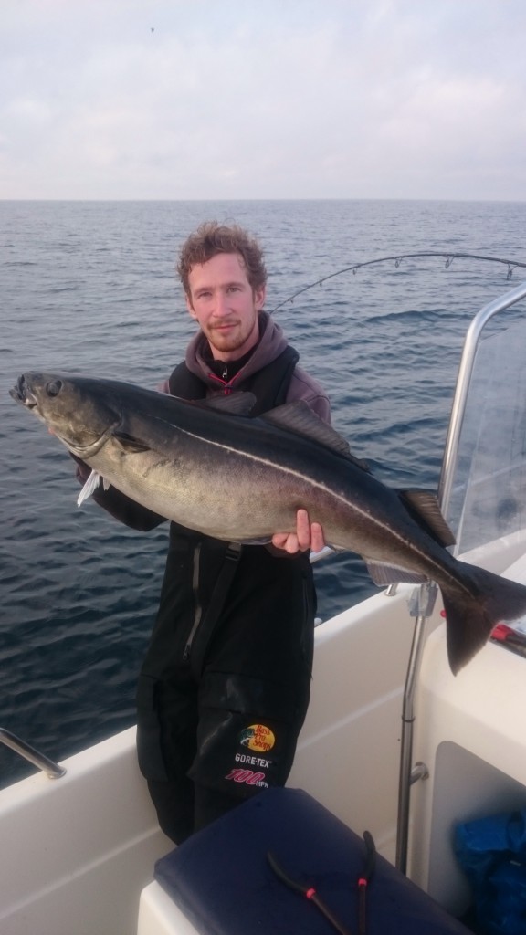 Tommy visar upp en stabil sej, samtidigt som ytterligare en stor fisk drillas i bakgrunden!