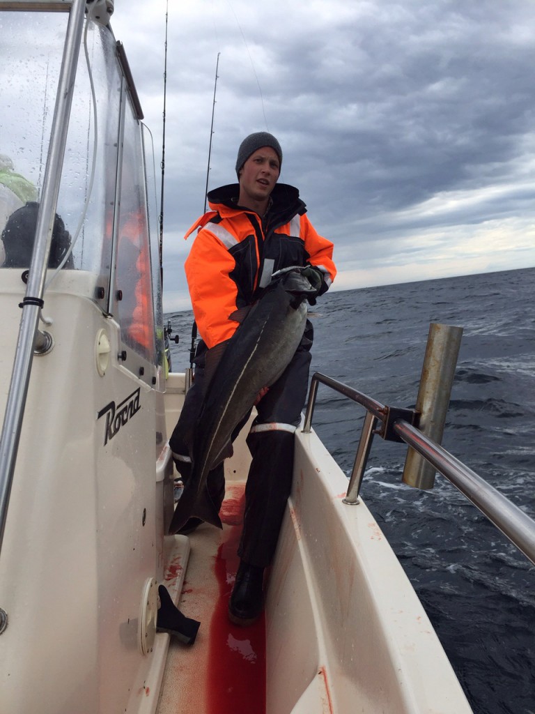 Robin med en 16kgs sej från igår!