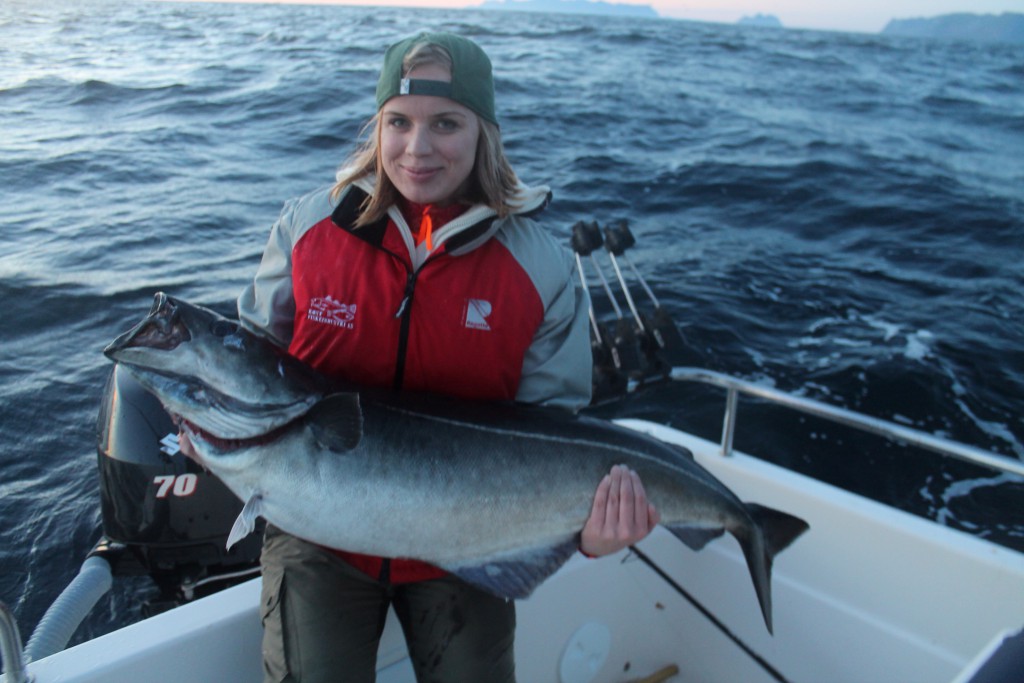 Linds med nytt personbästa. Spinnfiskad sej på ca 16 kg!