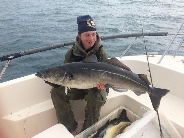 Stor sej för Melker ca 14kg