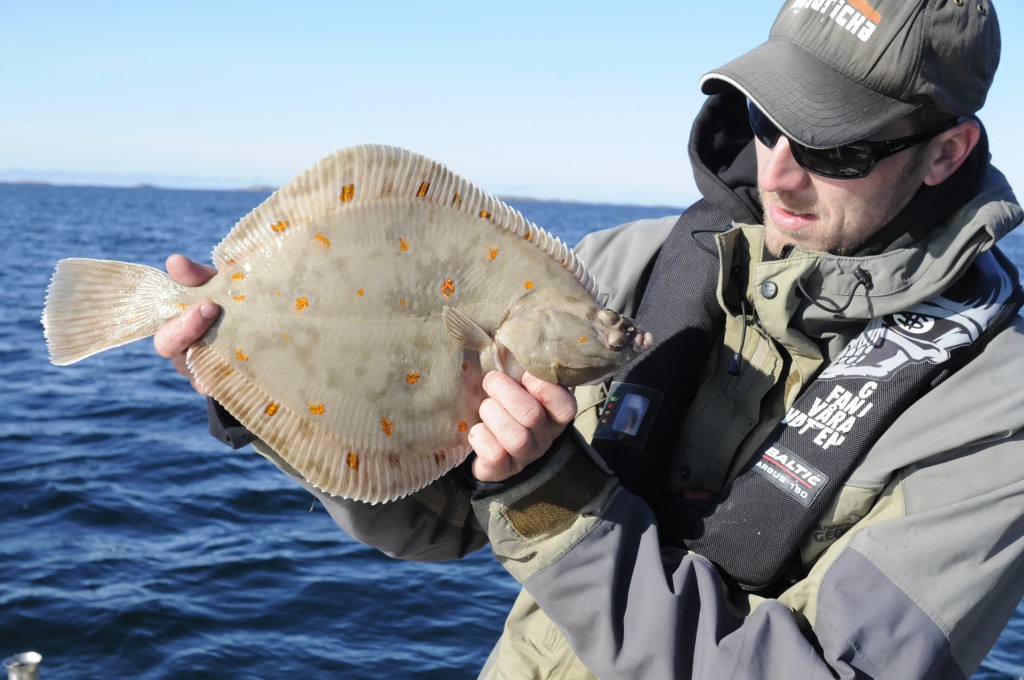 Elis med rödspätta!
