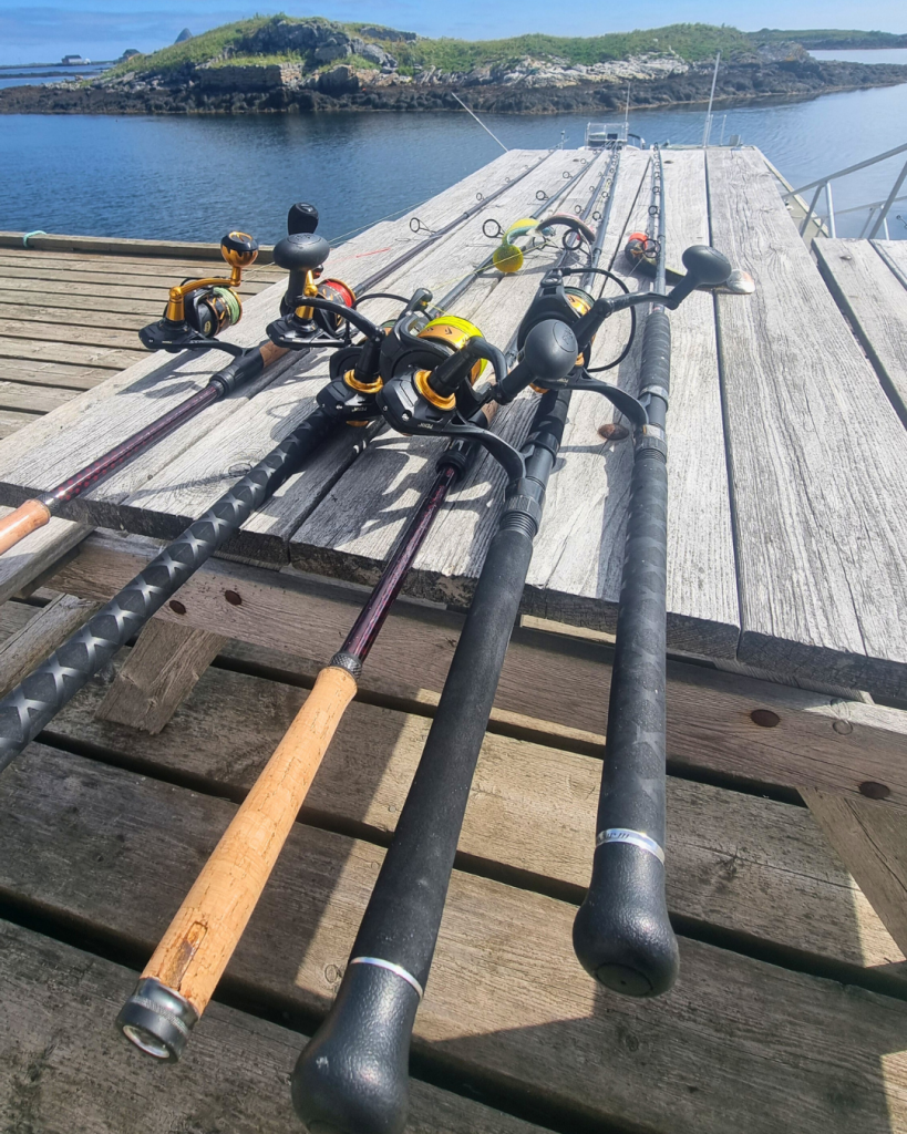 summer cod fishing at Røst