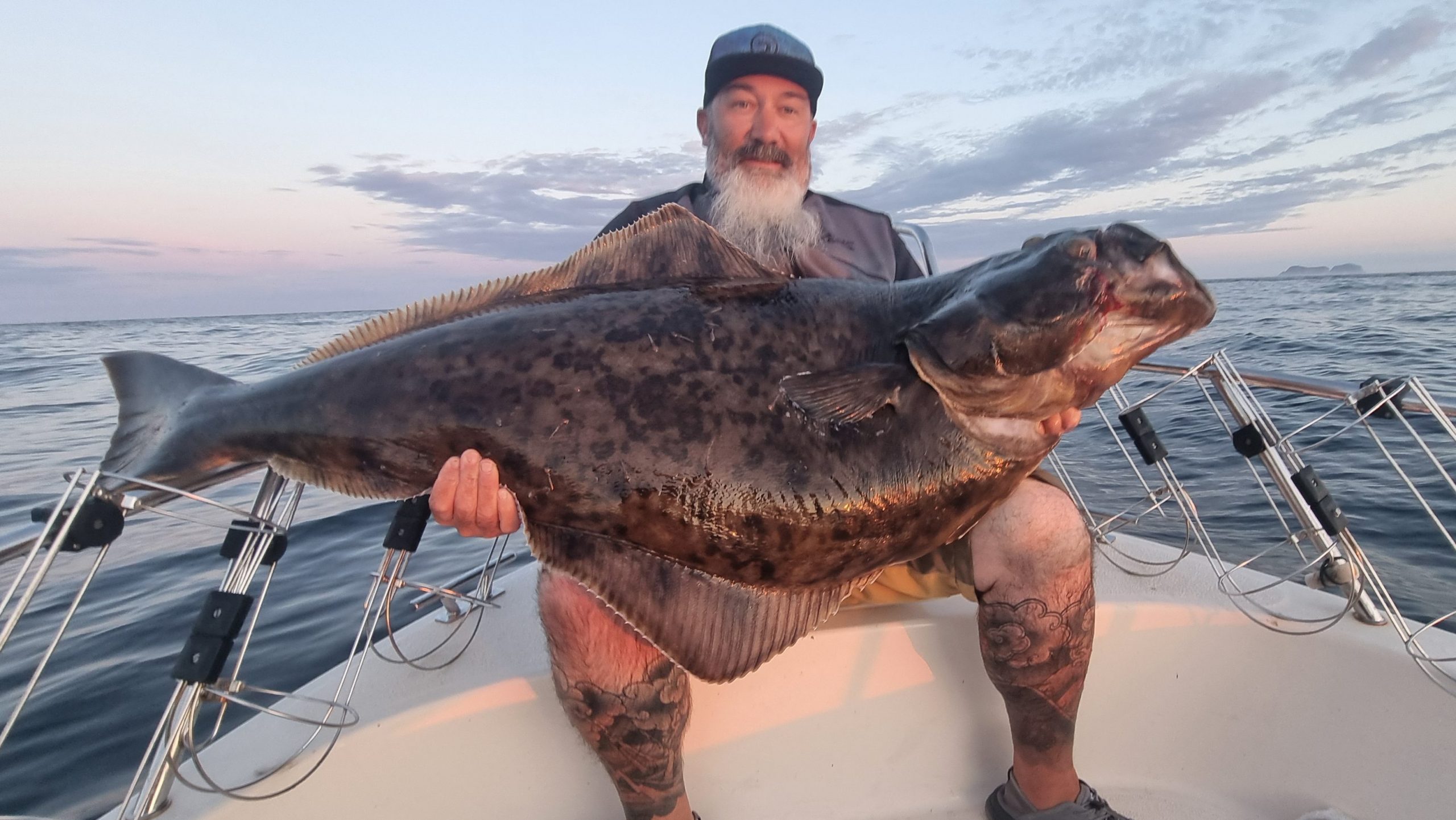 Røst Fishing Camp is renowned for producing halibut around 50 kilos 