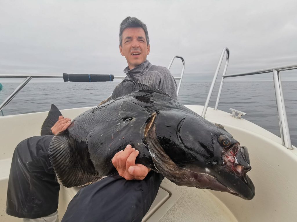 Halibut are great hunters