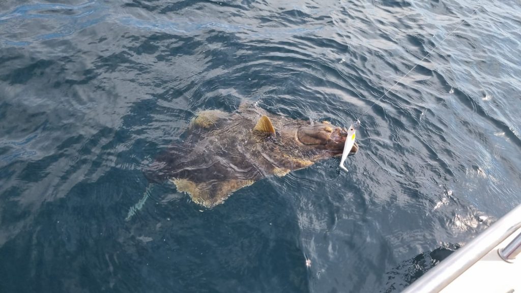 Successful halibut fishing