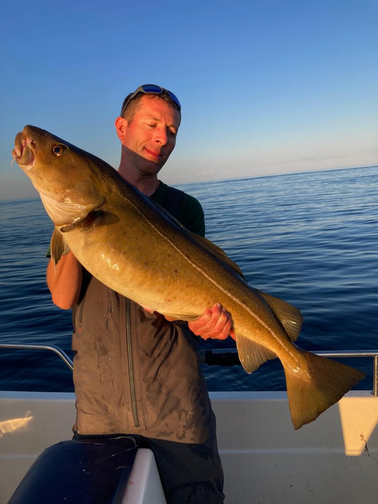 Optimum summer conditions for cod fishing.